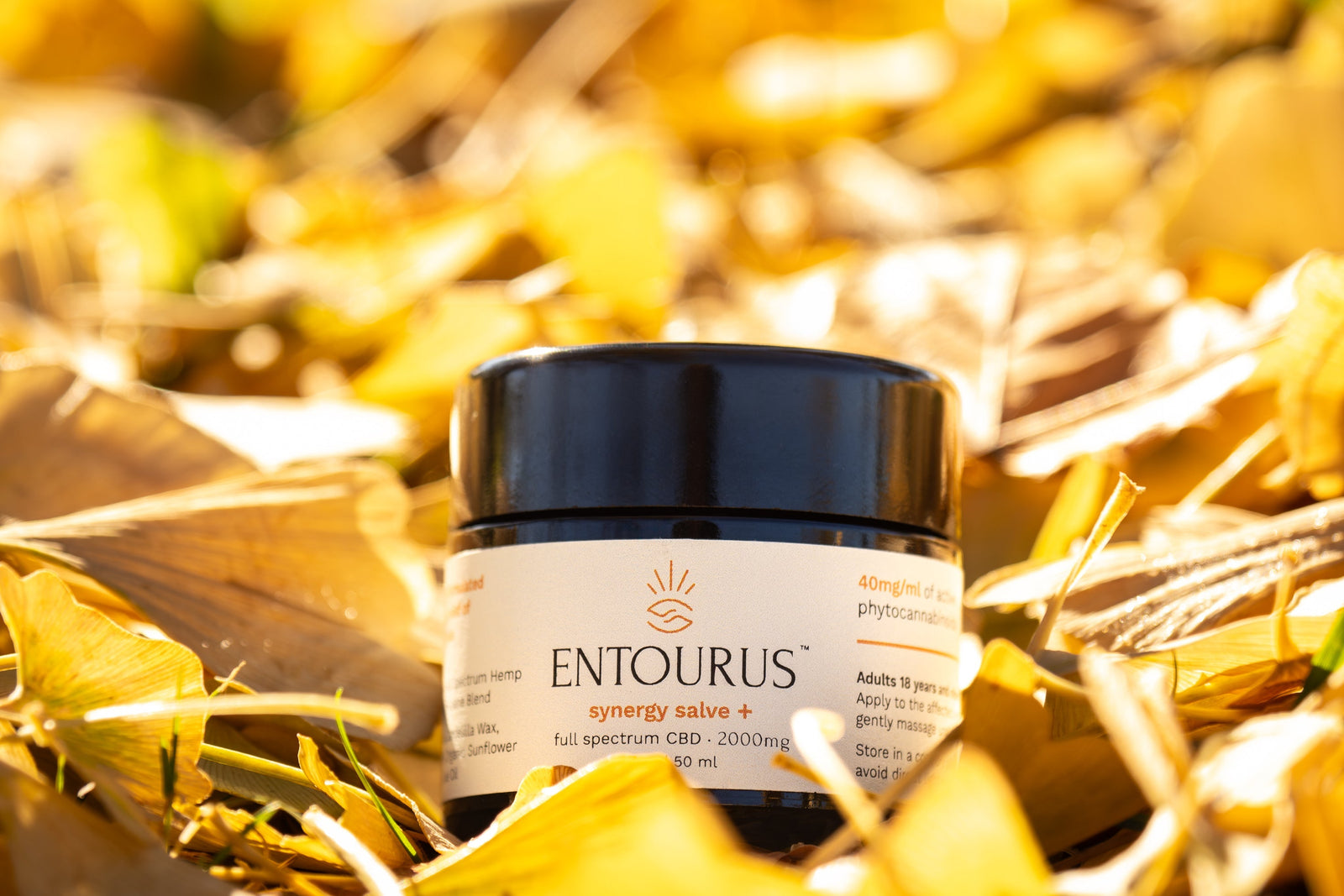 CBD Salves for Everyday Wellness: A Comprehensive Guide