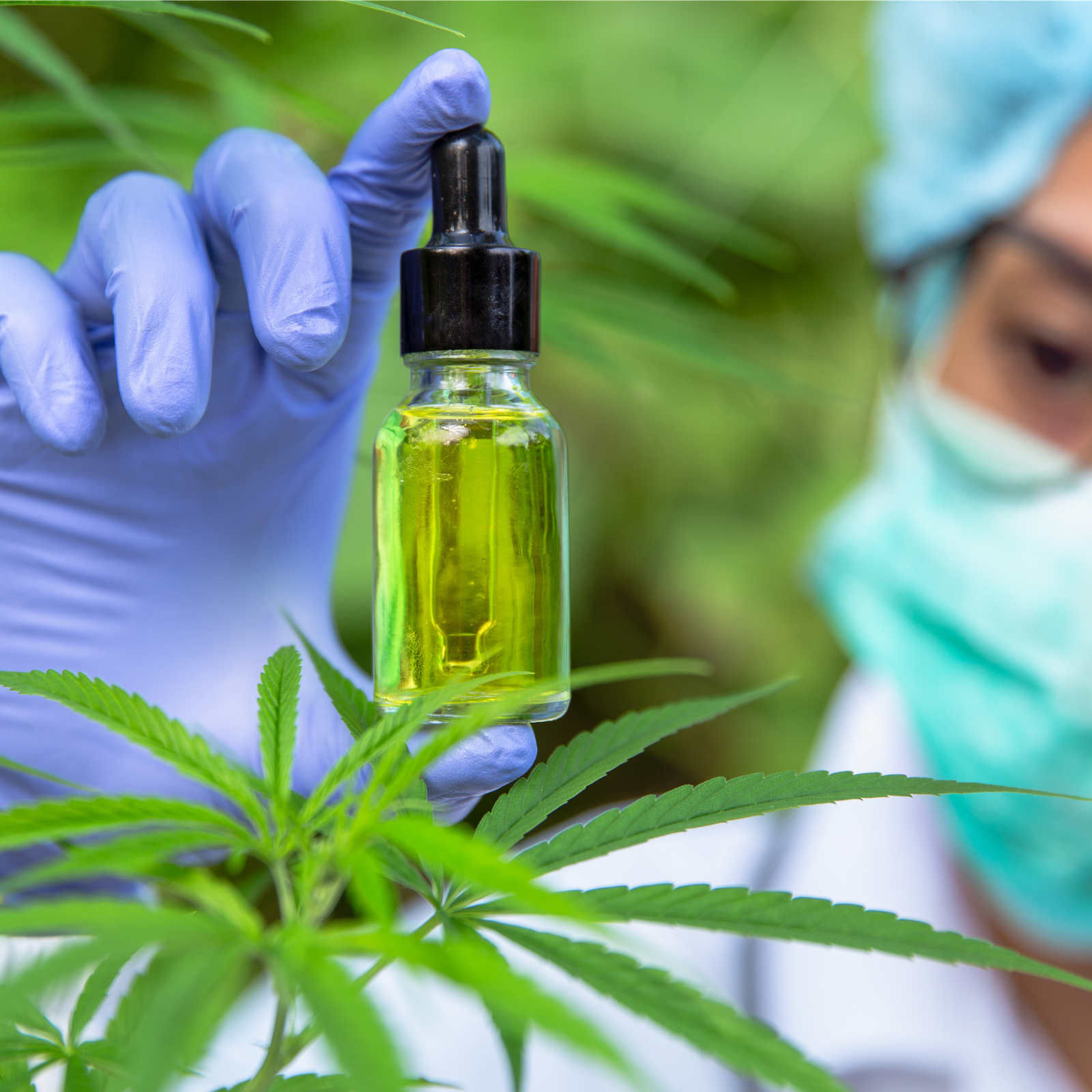 Supporting a Healthier You