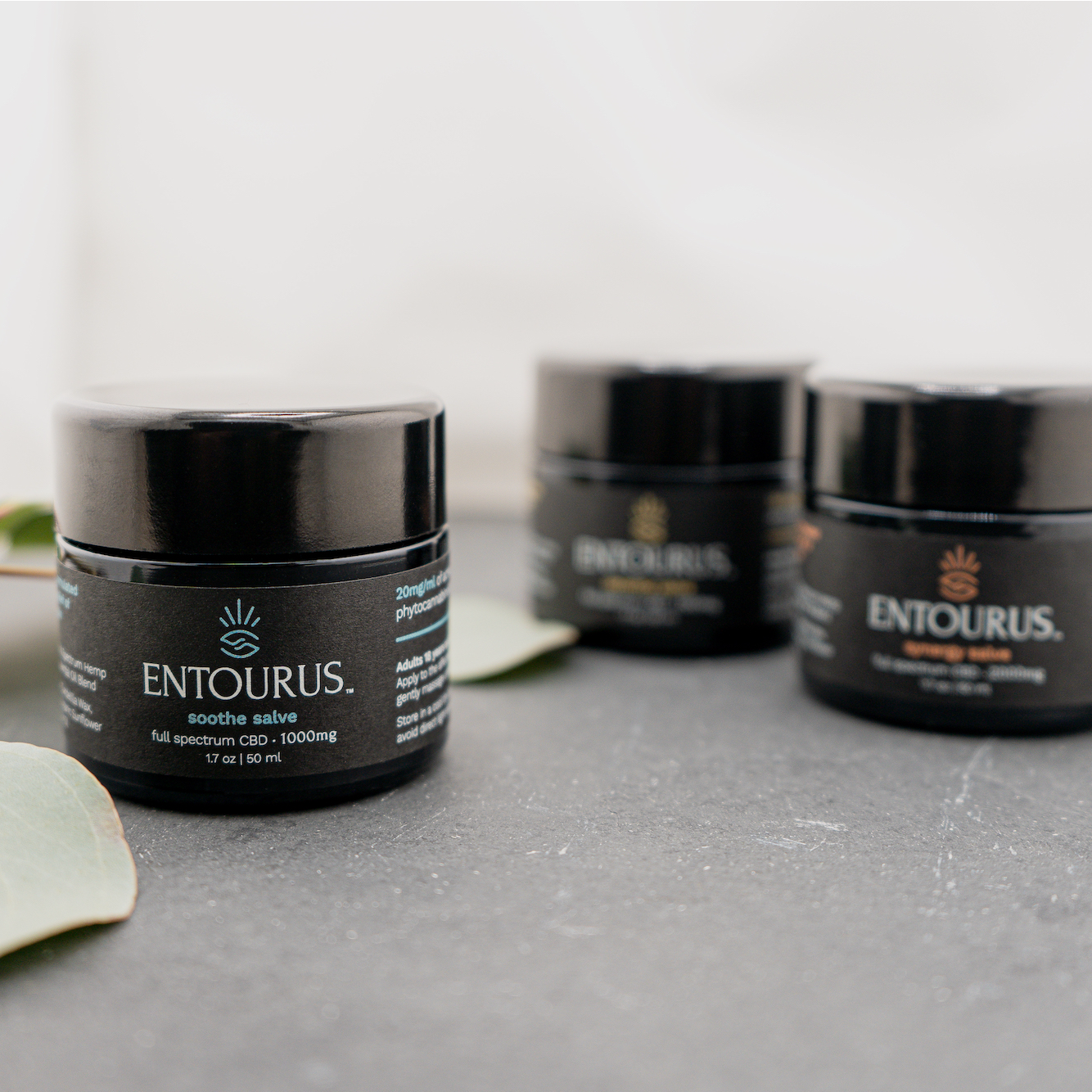 Trailblazing the future